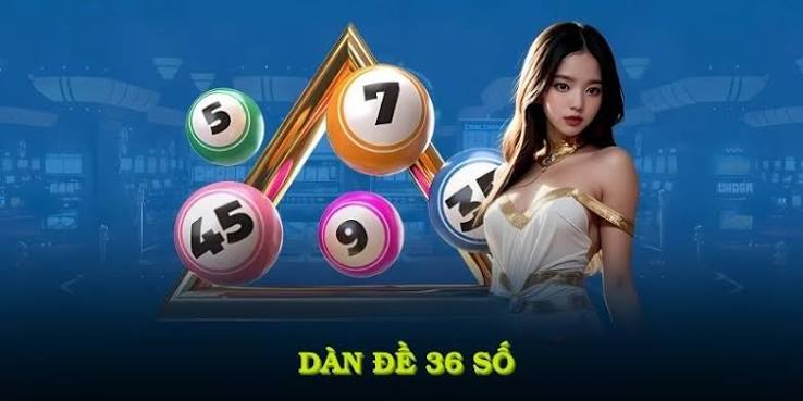 Người dùng phân tích thông tin trước khi lựa chọn nền tảng